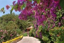 Letoonia Club & Hotel(ex.Club Letoonia)