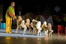 Delphin De Luxe Resort