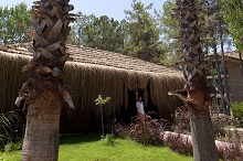 Champion Holiday Village