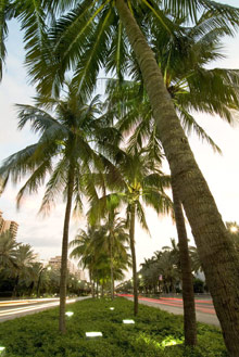 ONE Bal Harbour Resort & Spa