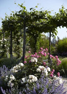 Bauer Palladio Hotel & Spa