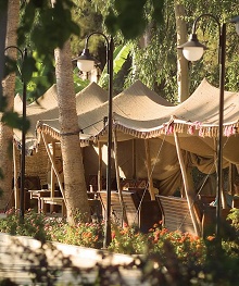 Club Hotel Phaselis Rose