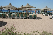 Sonesta Beach Resort & Casino(ex.Sonesta Beach)