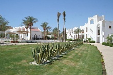 Sonesta Beach Resort & Casino(ex.Sonesta Beach)