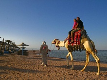 Royal Albatros Moderna