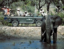 Sabi Sabi Earth Lodge