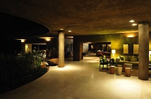 Sabi Sabi Earth Lodge