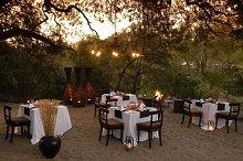 Sabi Sabi Little Bush Camp