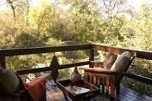 Sabi Sabi Little Bush Camp