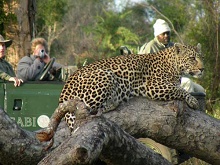 Sabi Sabi Bush Lodge