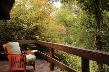 Sabi Sabi Private Game Reserve