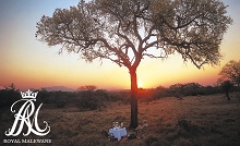Royal Malewane