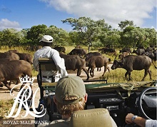 Royal Malewane