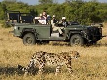 Ngala Private Game Reserve
