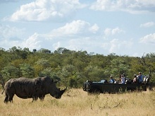 Ngala Private Game Reserve