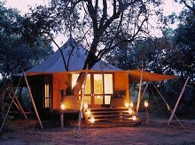 Ngala Tented Camp