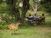 Ngala Tented Camp