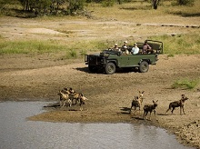 Ngala Tented Camp