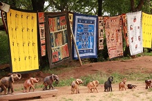 Jatinga Country Lodge