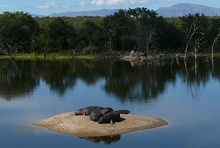 Edeni Private Game Reserve