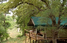 Edeni Private Game Reserve