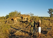 The Stanley & Livingstone at Victoria Falls