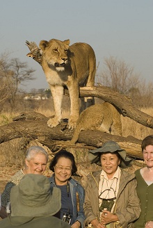 The Stanley & Livingstone at Victoria Falls
