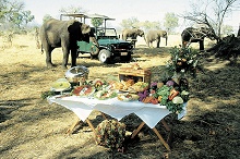 The Stanley & Livingstone at Victoria Falls