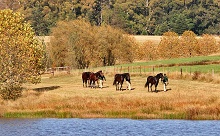 Hartford Country House