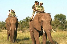 The Kingdom at Victoria Falls