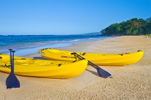 Thee Divine Villa Roaring Pavilion