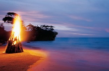 Thee Divine Villa Roaring Pavilion