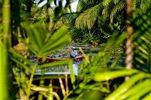 Anantara Resort & Spa Hua Hin