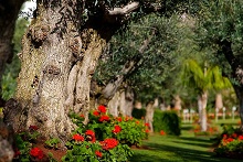 Cs Madeira Atlantic Resort & Sea Spa