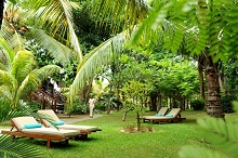 Coin de Mire Attitude