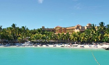 Mauricia Beachcomber