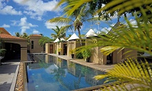 Mauricia Beachcomber