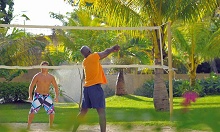 Mauricia Beachcomber