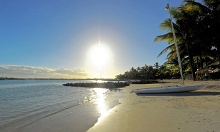 Mauricia Beachcomber