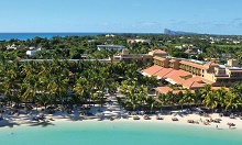 Mauricia Beachcomber