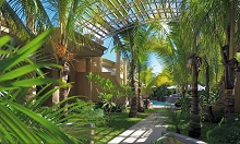 Mauricia Beachcomber