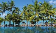 Mauricia Beachcomber