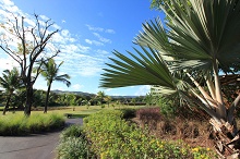 Heritage Awali Golf & Spa Resort