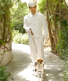 The Peninsula Beverly Hills