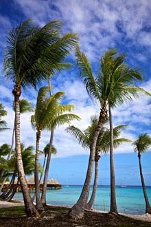 Kia Ora Resort & Spa