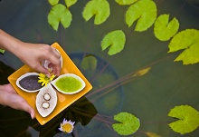 Angsana Resort & Spa Bintan