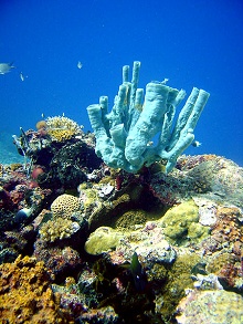 Ras Nungwi Beach Hotel