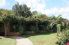 Diamonds La Gemma dell’Est