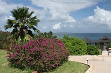 Diamonds La Gemma dell’Est