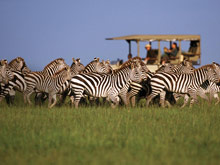 Singita Sasakwa Lodge